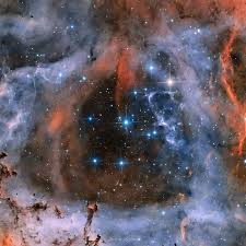 Image result for Searsia nebulosa