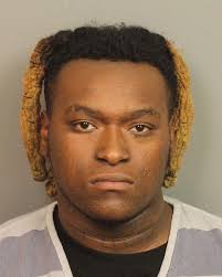 Tuscaloosa man sentenced