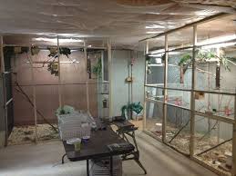Finchforum View Topic Update On My New Bird Room Bird Animal Room Parakeet Cage