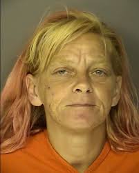 WILSON, NICOLE CELESTE- PUBLIC DISORDERLY:PUBLIC INTOXICATION