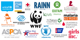 Why a world best ngos list? What Are Ngos Danny Kim Writ 150