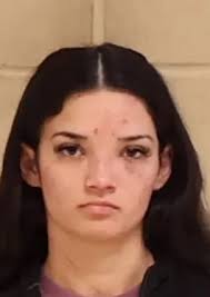 19 Year Old Shreveport Woman Arrested After Attack