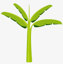 Jelajahi koleksi daun pisang, pisang gambar logo, kaligrafi, siluet kami yang luar biasa. Terkeren 29 Gambar Daun Pisang Png