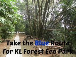 We did not find results for: Go Kl City Bus Free Bus Service In Kuala Lumpur