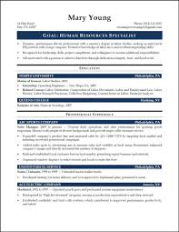 Your profile title is a statement of your level of professional status which needs to be framed accordingly in an entry level project manager. 15 Entry Level Project Management Resume Samples Human Resources Human Resources Resume Hr Resume