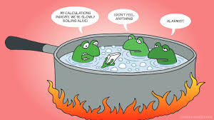 Cranky Cartoon (EN) - Boiling Frogs