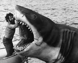 Nov 10, 2021 · shark week trivia questions and answers / julian chokkattu/digital trendssometimes, you just can't help but know the answer to a really obscure question — th. This Isn T Happiness Shark Week Peteski Shark Week Spielberg Rare Photos