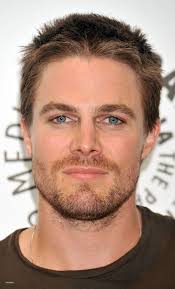 Rate Steven Amell (arrow actor)