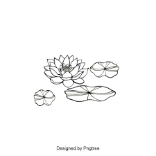 We did not find results for: Bunga Teratai Vektor Png Images Free Transparent Free Png Images Vector Psd Clipart Templates