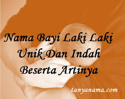Berikut liputan6.com rangkum dari berbagai. Nama Bayi Laki Laki Unik Dan Indah Beserta Artinya Tanya Nama