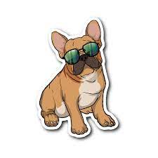 French Bulldog Blue French Bulldog Funny Bulldog Puppies French Bulldog Puppies