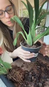 Reel by Érika Canton (@erika.canton) · February 23, 2025