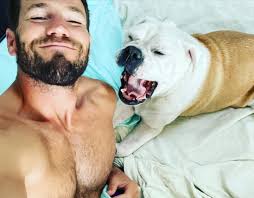 Celebration of Pig 1