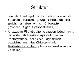 Chlorophyll is the pigment that gives plants their green color, and is an essential component of photosynthesis whereby plants derive their energy for chlorophyll is the basic unit of plant energy systems during the process of photosynthesis. Struktur Und Funktion Von Chlorophyll Ppt Video Online Herunterladen