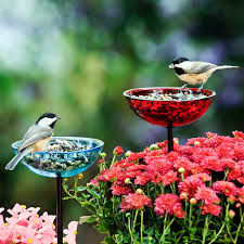 Attract hummingbirds to feeders use hummingbird flowers and sugar water to attract hummers, find nectar recipe, feeders, and more. Duncraft Com Mosaic Birds Poppy Stake Feeder