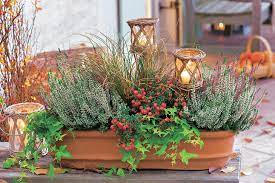 Maybe you would like to learn more about one of these? Terrasse Herbstlich Dekorieren Die Schonsten Ideen Mein Schoner Garten