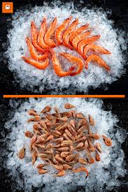 Crevettes Roses Et Grises Fruits De Mer En Ligne Crevette Rose Crevettes Crevettes Grises