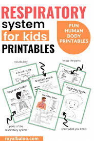 See more ideas about respiratory system, body systems, human body learn about your lungs and respiratory system, how your muscles and nervous system control your breathing, and nhlbi research on the lungs. The Respiratory System Royal Baloo