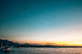 Kalong Island Indonesia In 2020 Komodo National Park National Parks Island Tour