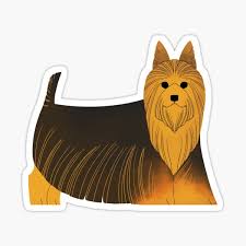 Do you feel like you have to choose nylon and stainless steel, that sounds like flexible and the durable, benefit of 2 in 1. Australian Terrier Gifts Merchandise Redbubble