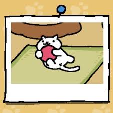 James Marohn (@jamarohn)