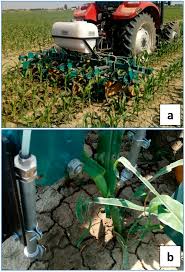 Pests, weeds and diseases (pests) pose serious risk for pest control is best achieved with an integrated pest management plan using a range of biological, chemical herbicide resistance is the inherited ability of an individual plant to survive a herbicide application that would kill. Agronomy Free Full Text Combination Of Herbicide Band Application And Inter Row Cultivation Provides Sustainable Weed Control In Maize Html