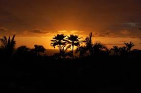 There are hundreds of royalty free image sites out there, and not all of them are created equally. Explore Over 300 000 Free Stock Photos And Royalty Free Images Freeimages Com