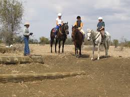 Rebekka Craig Equestrian