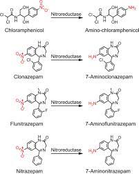 Chloramphenicol An Overview Sciencedirect Topics