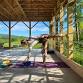 Carolyn's Emerald Farm Class — Carolyn Christie Yoga - 3 Menke Rd Event Image