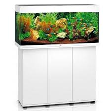 Check spelling or type a new query. Juwel Rio 180 Led Inc Cabinet White At Lincs Aquatics