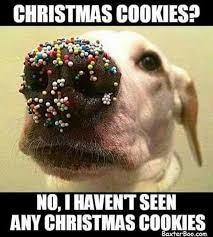 Pin By Funny Memes On Puppy Love Christmas Memes Funny Funny Dog Memes Funny Animal Pictures