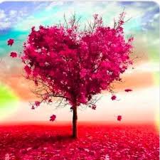 Profile for ZA's Floral by Brenda