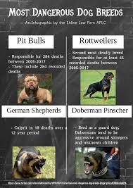 Most Dangerous Dog Breeds List Are Cdc Numbers Proof Or Just A Fluke