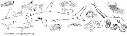 Keep your kids busy doing something fun and creative by printing out free coloring pages. Ocean Animal Coloring Pages