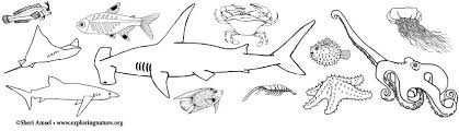 Welcome to the page where you will find sea animals coloring sheets and kinds of different fish. Ocean Animal Coloring Pages