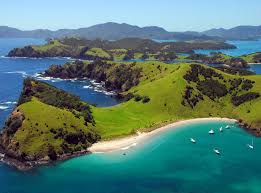 Wellington is the centre of all of that. V0z I Pmcr8yvm
