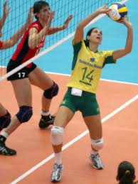 Born oct 24, 1970, in araraquara, brazil.setter, won team world grand prix (1993, 1994, 1996, 1998); Fernanda Venturini Wikipedia