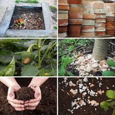 When to use eggshells in the garden. 9 Smart Ways To Use Eggshells In Your Garden Diy Crafts