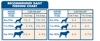 fromm large breed puppy feeding chart puppy chow large breed