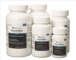 Image result for Pycreus sp.no.1