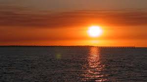 Champagne Sunset Sail Blue Dolphin Hervey Bay Sunset Cruise