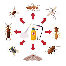 Crops are sometimes protected from harmful pests through diverse planting techniques. Pest Control Service Pressure Sprayer Of Chemical Insecticide Royalty Free Cliparts Vectors And Stock Illustration Image 151845355