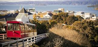 Maybe you would like to learn more about one of these? Kiwi Culture In Wellington New Zealand S Creative Shermanstravel