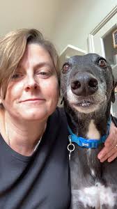 I know there are many posts about harnesses in the group, but I'm wondering  if a harness would solve the particular problem I have. Christopher  (greyhound) walks really well