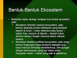 Alam sekitar penting penting untuk dijaga dan dipantau. Ekologi Pemerintahan Oleh Kariena Febriantin S Ip M