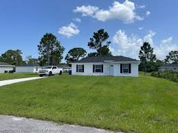 Image result for Colt 220