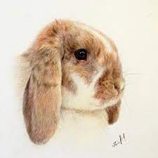 Sometimes inspiration just doesn't strike and you need a little help to get started. Bunny Colored Pencils Drawing