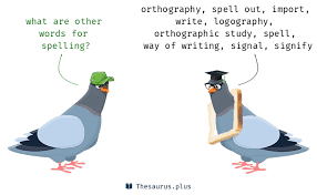 38 Spelling Synonyms Similar Words For Spelling