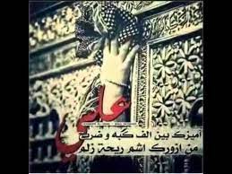 وتوجه هود عليه السلام داعياً ربه ان ينصره على هؤلاء القوم الظالمين. Ø£Ø¬Ù…Ù„ Ø´Ø¹Ø± Ø¹Ù† Ø§Ù„Ø¥Ù…Ø§Ù… Ø¹Ù„ÙŠ Ø¹Ù„ÙŠÙ‡ Ø§Ù„Ø³Ù„Ø§Ù… Youtube